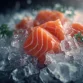 mietz_skynet_24598_salmon_sashimi_on_ice_crystals_frosty_mood_5153004d-f8a9-464e-8c93-3103841a3a86_3